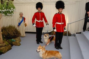 Garden Party Entertainment