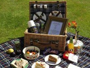 picnic party ideas