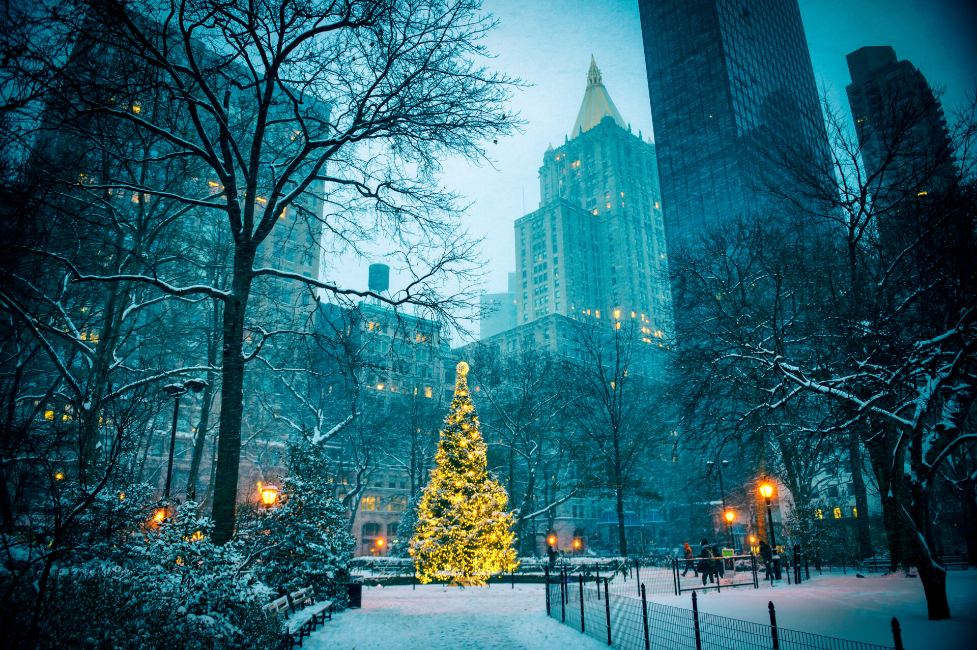 New York Festive Guide