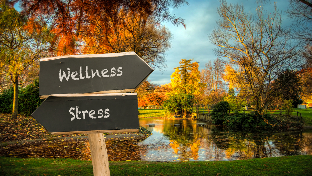 Wellness in Corporate Events
