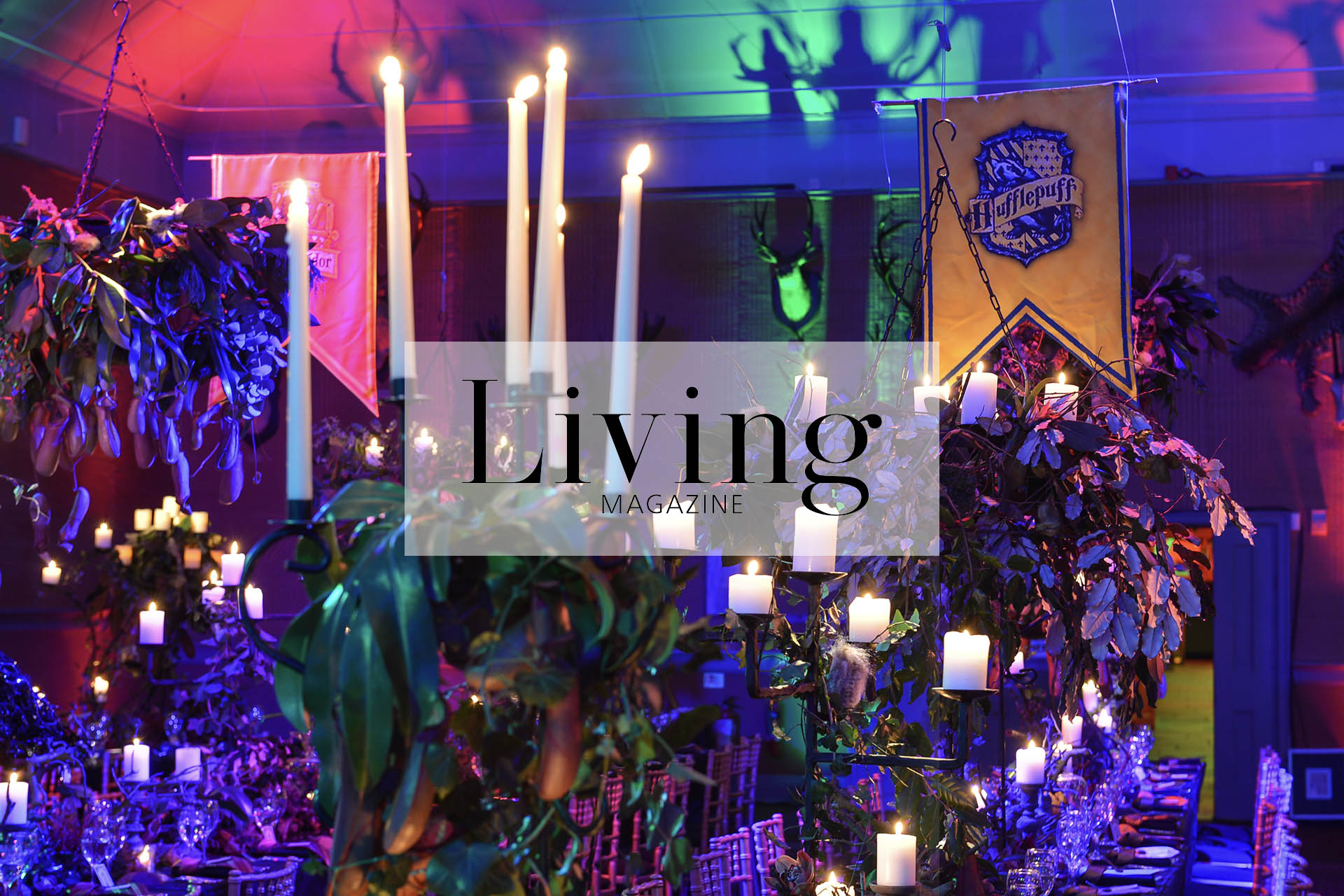 Leadership in 2026: Rethinking Authority and Influence for IWD