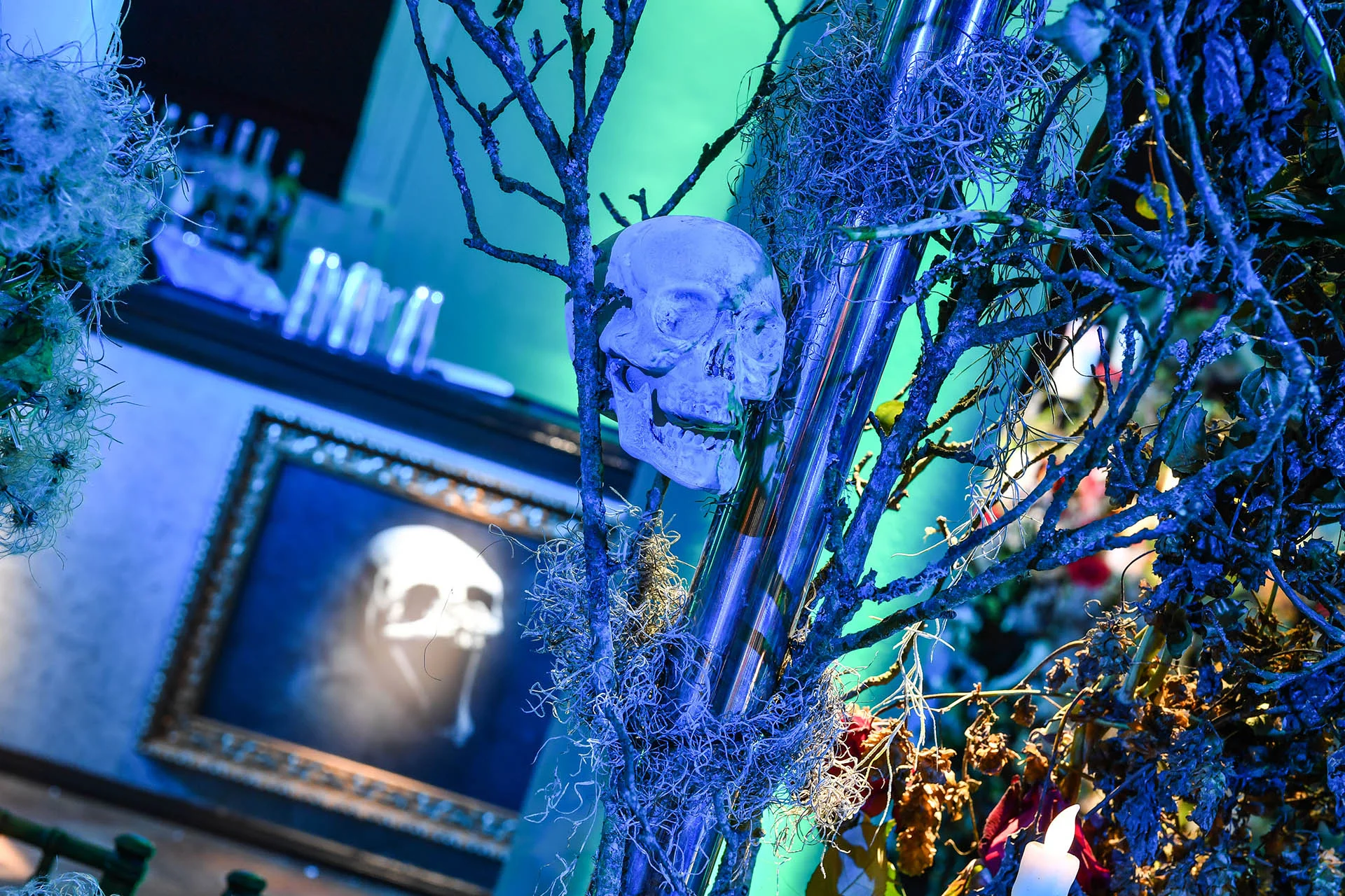 Dare to step into the eerie shadows of Victorian London where unspeakable creatures exist. Our Penny Dreadful-inspired event is a celebration of the mysterious and macabre, where the impossible becomes reality. Ready for a spine-chilling adventure?